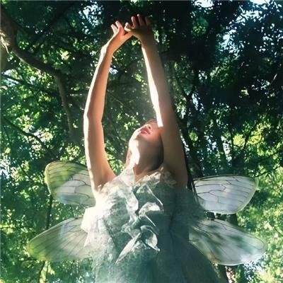 翱翔于天际的夜鹰